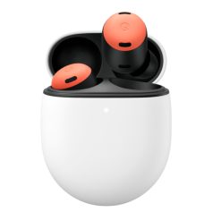 𝐆𝐨𝐨𝐠𝐥𝐞 𝐏𝐢𝐱𝐞𝐥 𝐁𝐮𝐝𝐬 𝐏𝐫𝐨